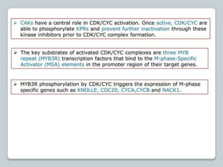 regulation-of-cell-cycle-and-cell-division ppt.pptx