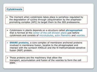 regulation-of-cell-cycle-and-cell-division ppt.pptx