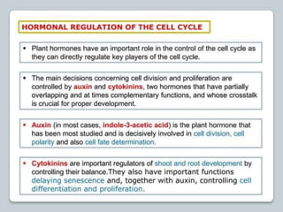 regulation-of-cell-cycle-and-cell-division ppt.pptx