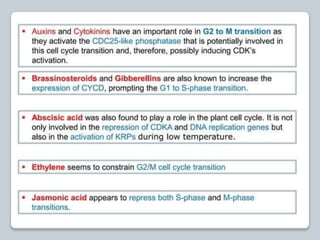 regulation-of-cell-cycle-and-cell-division ppt.pptx