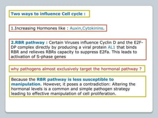 regulation-of-cell-cycle-and-cell-division ppt.pptx