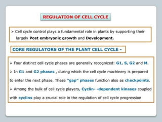 regulation-of-cell-cycle-and-cell-division ppt.pptx