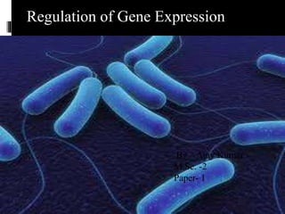 Regulation of Gene ExpressionRegulation of Gene Expression
By – Ajay Kumar
M.Sc. -2
Paper- 1
 