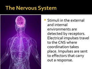 Regulation & control | PPT