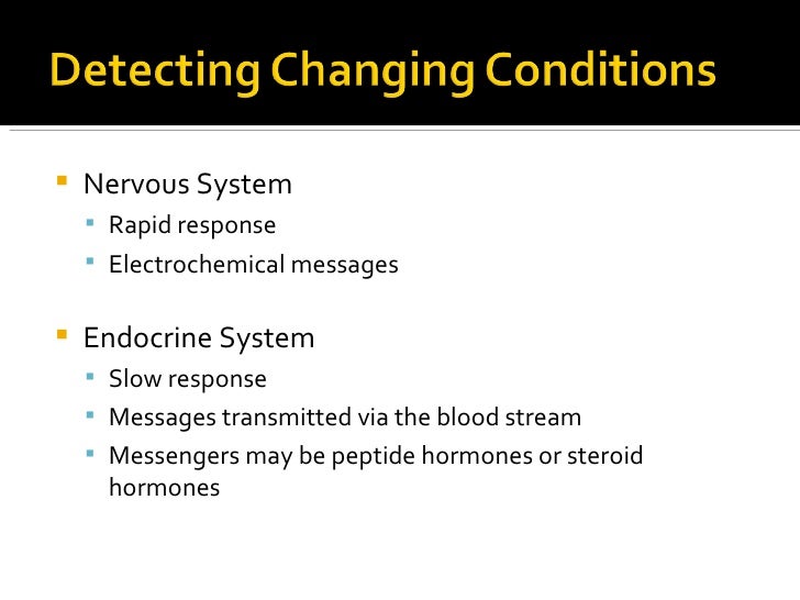 Messages To And From The Central Nervous System Travel Via Messages To And From The Central Nervous System Travel Via