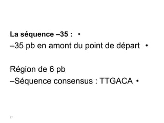 •
La séquence –35 :
•
–35 pb en amont du point de départ
Région de 6 pb
•
–Séquence consensus : TTGACA
17
 