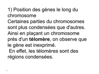 31
1) Position des gènes le long du
chromosome
Certaines parties du chromosomes
sont plus condensées que d'autres.
Ainsi e...
