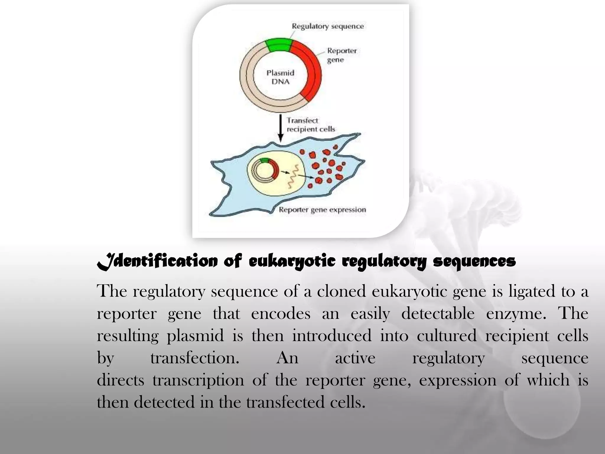 Regulation visual data 8