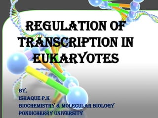 Regulation of
Transcription in
Eukaryotes
By,
Ishaque P.K
Biochemistry & molecular biology
Pondicherry university

 