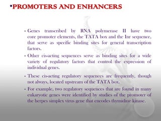 •PROMOTERS AND ENHANCERS
•

•

•

•

Genes transcribed by RNA polymerase II have two
core promoter elements, the TATA box and the Inr sequence,
that serve as specific binding sites for general transcription
factors.
Other cis-acting sequences serve as binding sites for a wide
variety of regulatory factors that control the expression of
individual genes.
These cis-acting regulatory sequences are frequently, though
not always, located upstream of the TATA box.
For example, two regulatory sequences that are found in many
eukaryotic genes were identified by studies of the promoter of
the herpes simplex virus gene that encodes thymidine kinase.

 
