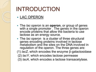 Regulation in lac operon | PPTX