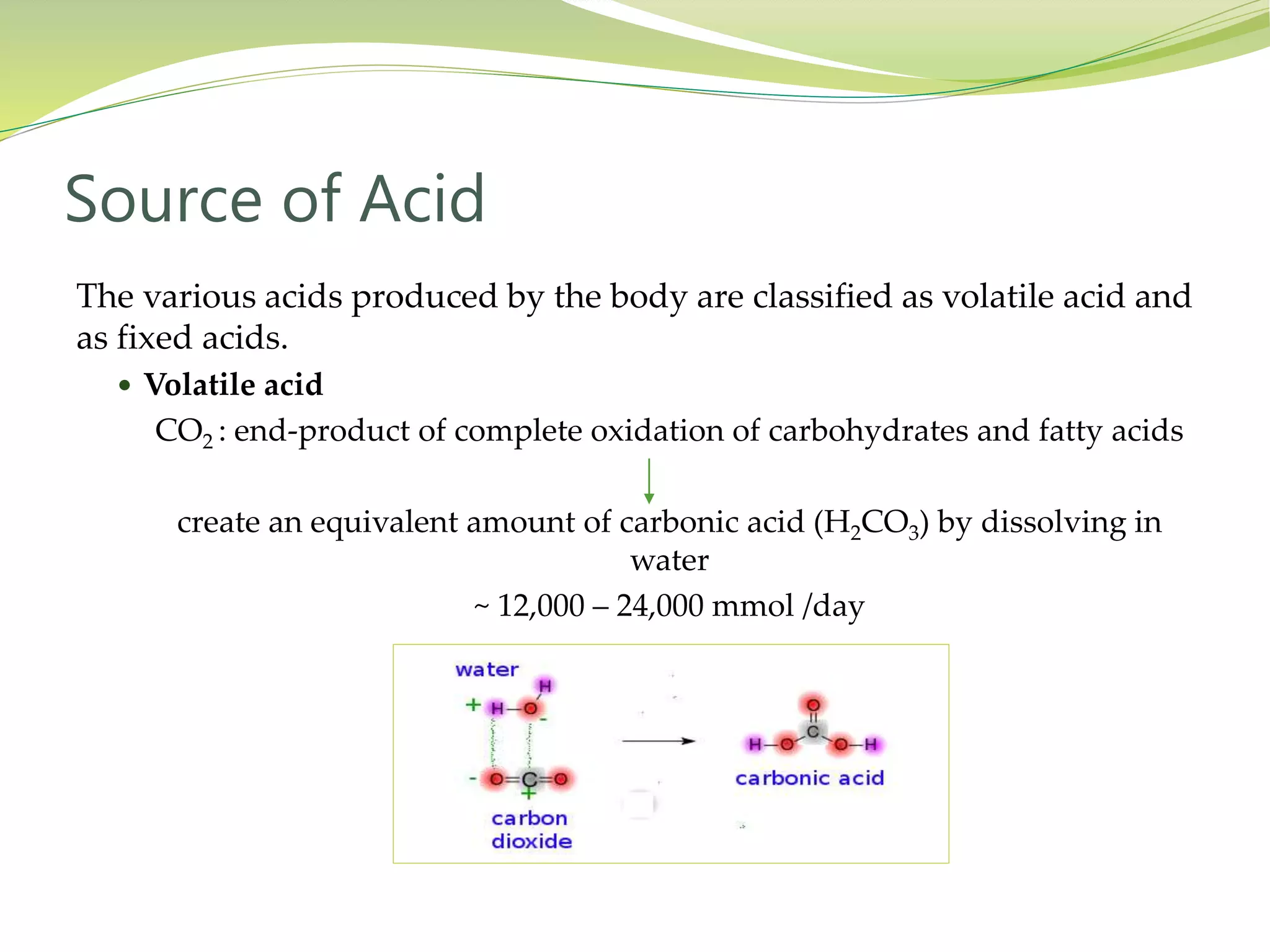 Regulation of Acid Base Balance | PPTX