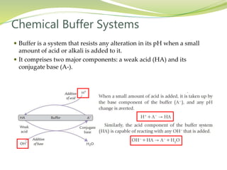 Regulation of Acid Base Balance | PPTX