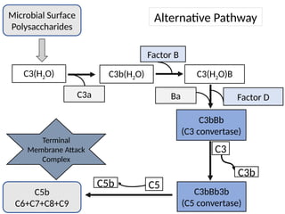 REGULATION OF ALTERNATIVE PATHWAY OF COMPLEMENT SYSTEM.pptx