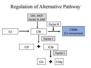 REGULATION OF ALTERNATIVE PATHWAY OF COMPLEMENT SYSTEM.pptx