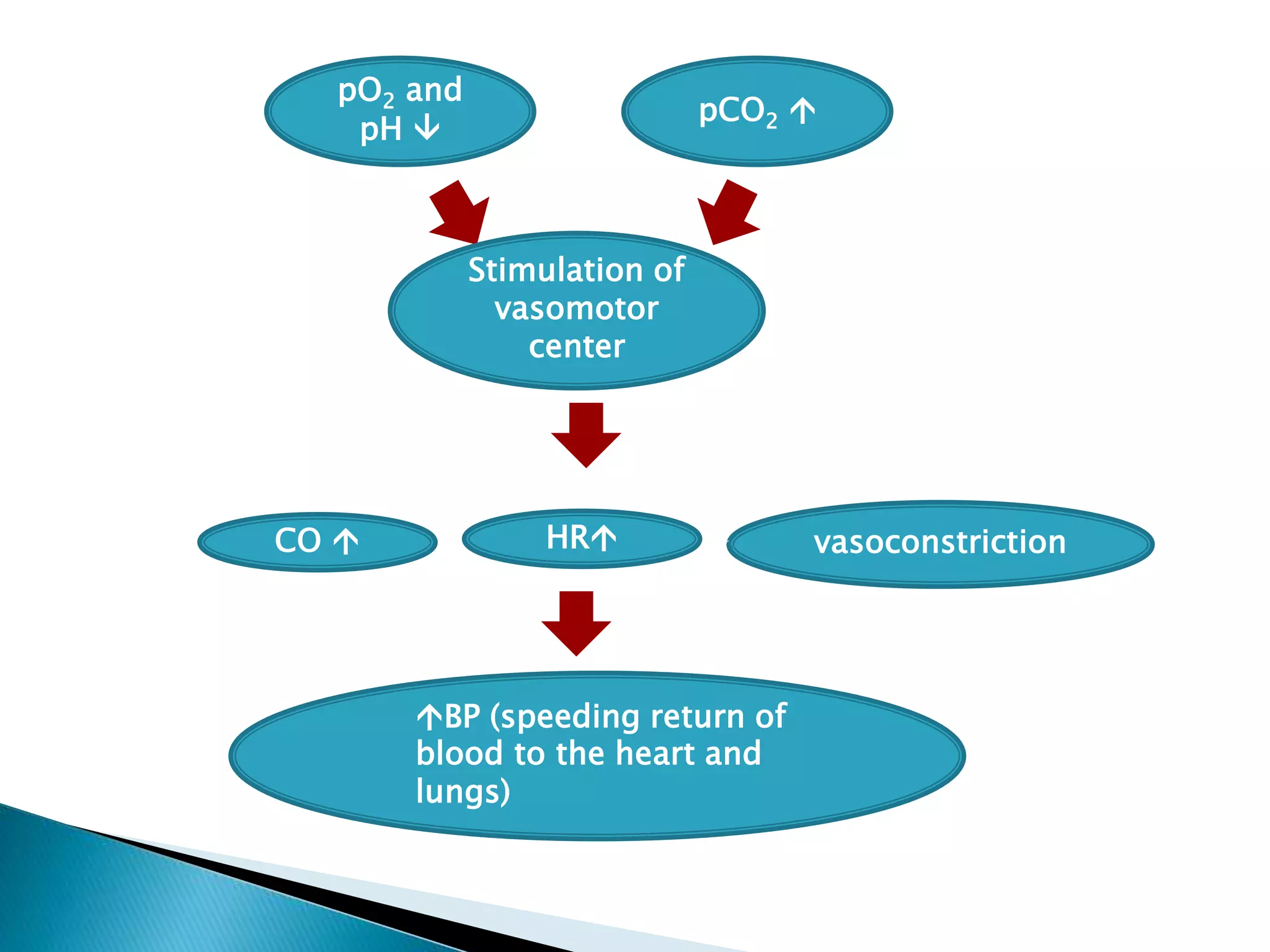 Regulation of arterial blood pressure | PPTX
