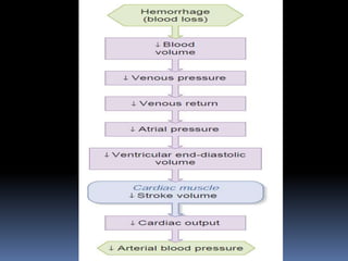 Regulation of arterial blood pressure | PPTX