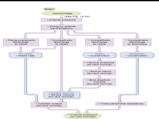 Regulation of arterial blood pressure | PPTX