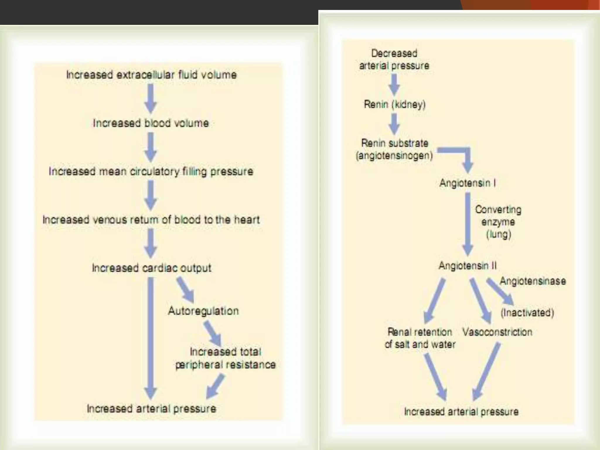 Regulation of arterial blood pressure (The Guyton and Hall Physiology ...