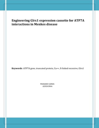 Engineering Glrx1 expression cassette for ATP7A
interactions in Menkes disease




Keywords: ATP7A gene, truncated protein, Cu++, X-linked recessive, Glrx1




                              A20263866
                            PRANAMEE SARMA
 
