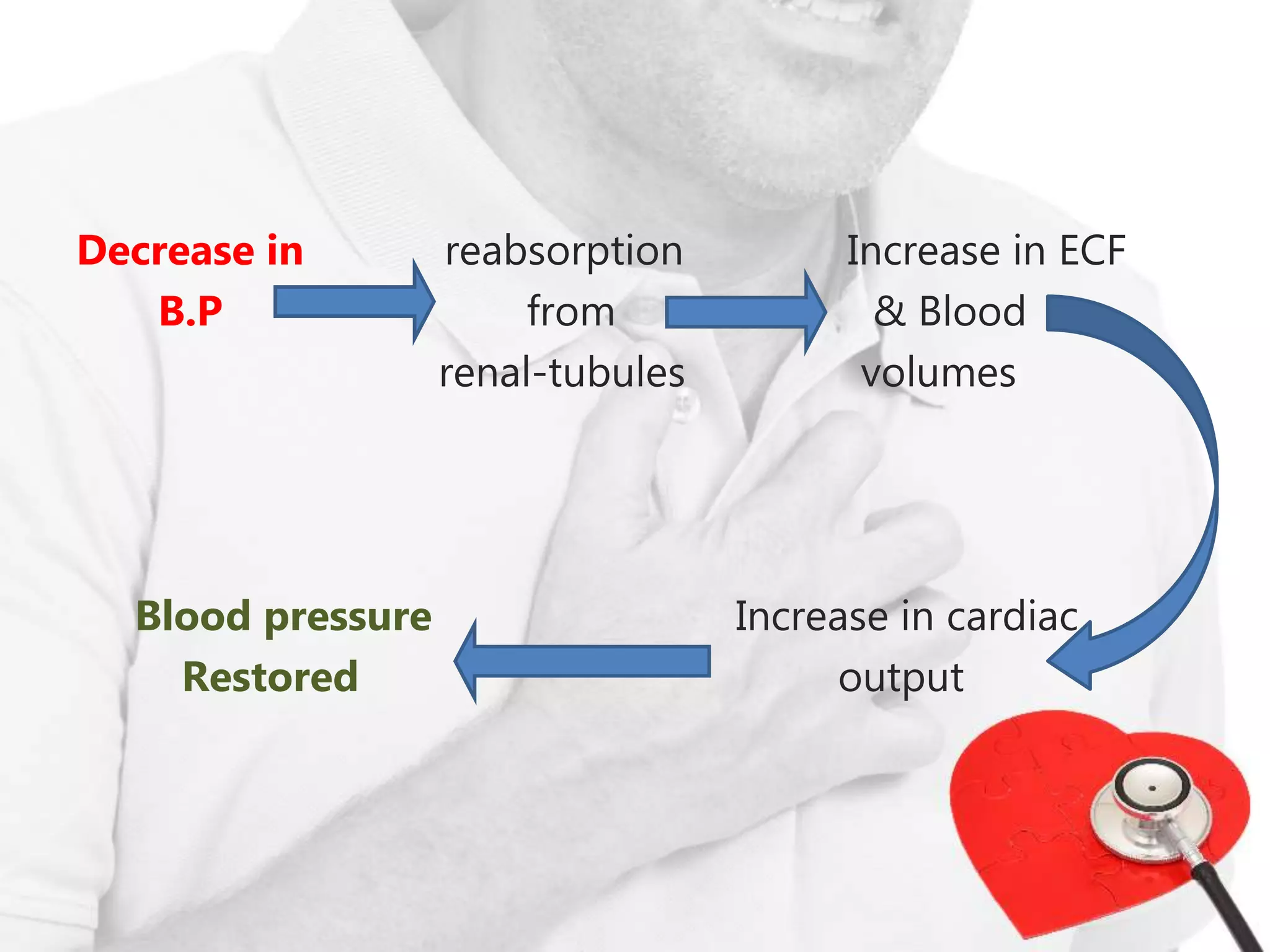 Regulation of blood pressure | PPTX
