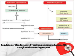 Regulation of blood pressure | PPTX