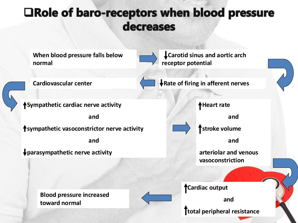 Regulation of blood pressure