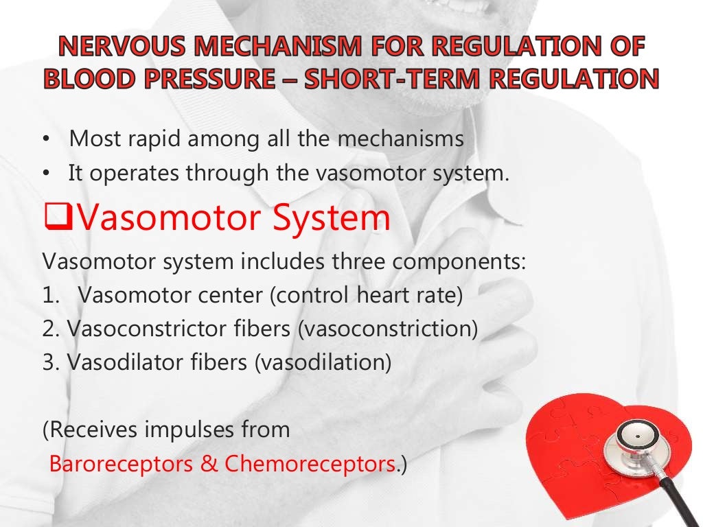 Regulation of blood pressure