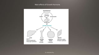 Regulation of blood glucose (catabolism) | PPTX