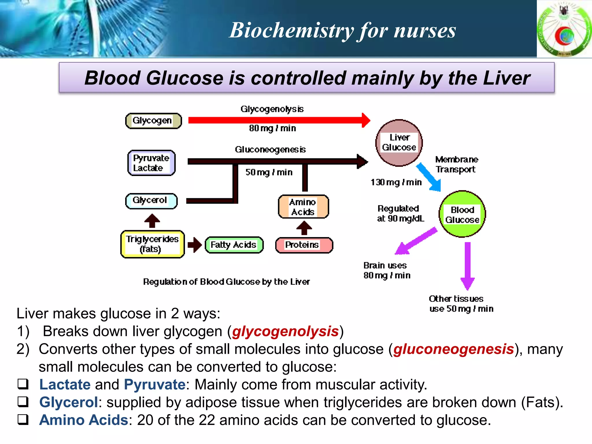 Regulation of blood glucose | PPTX
