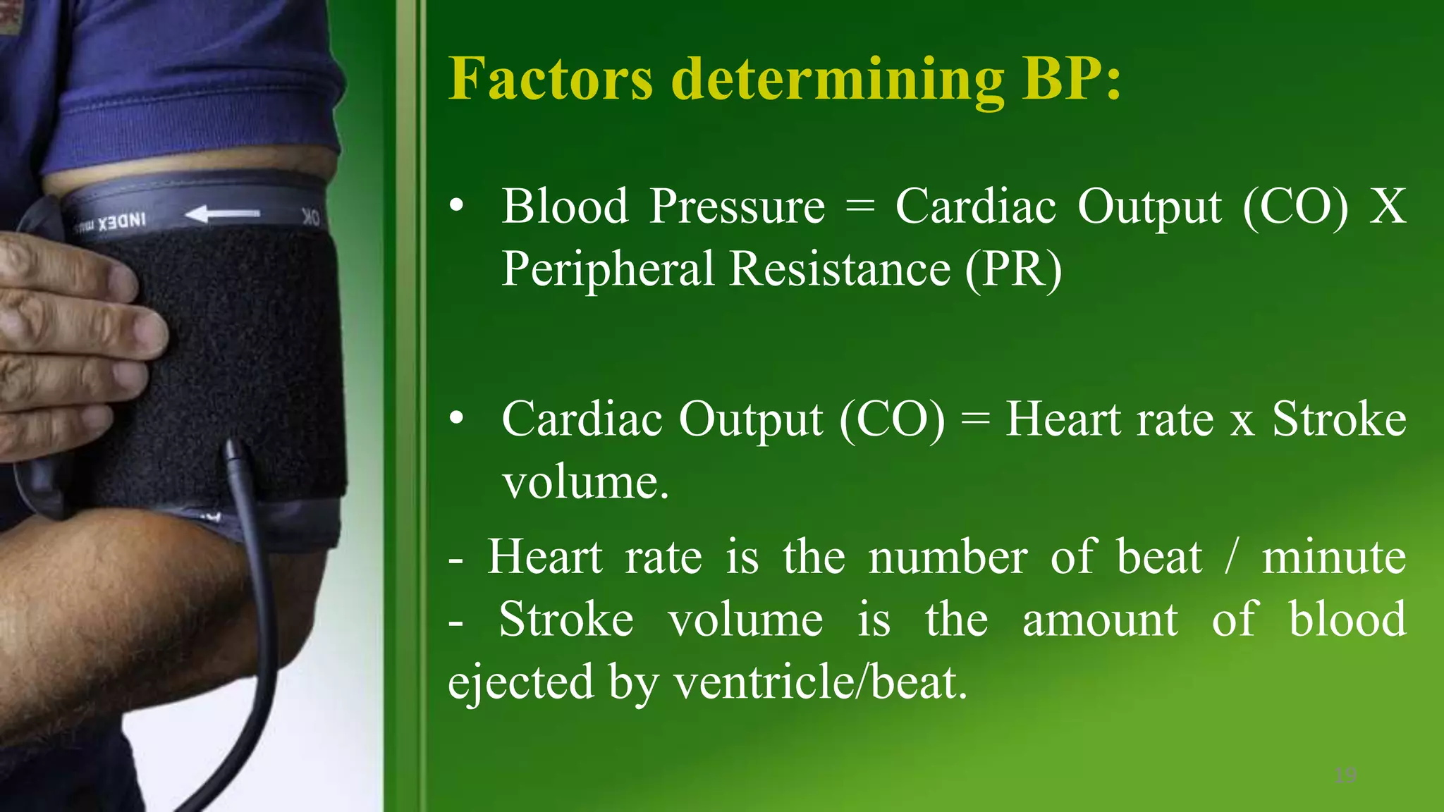 Example Bp Regulation Regulation of blood pressure | PPTX
