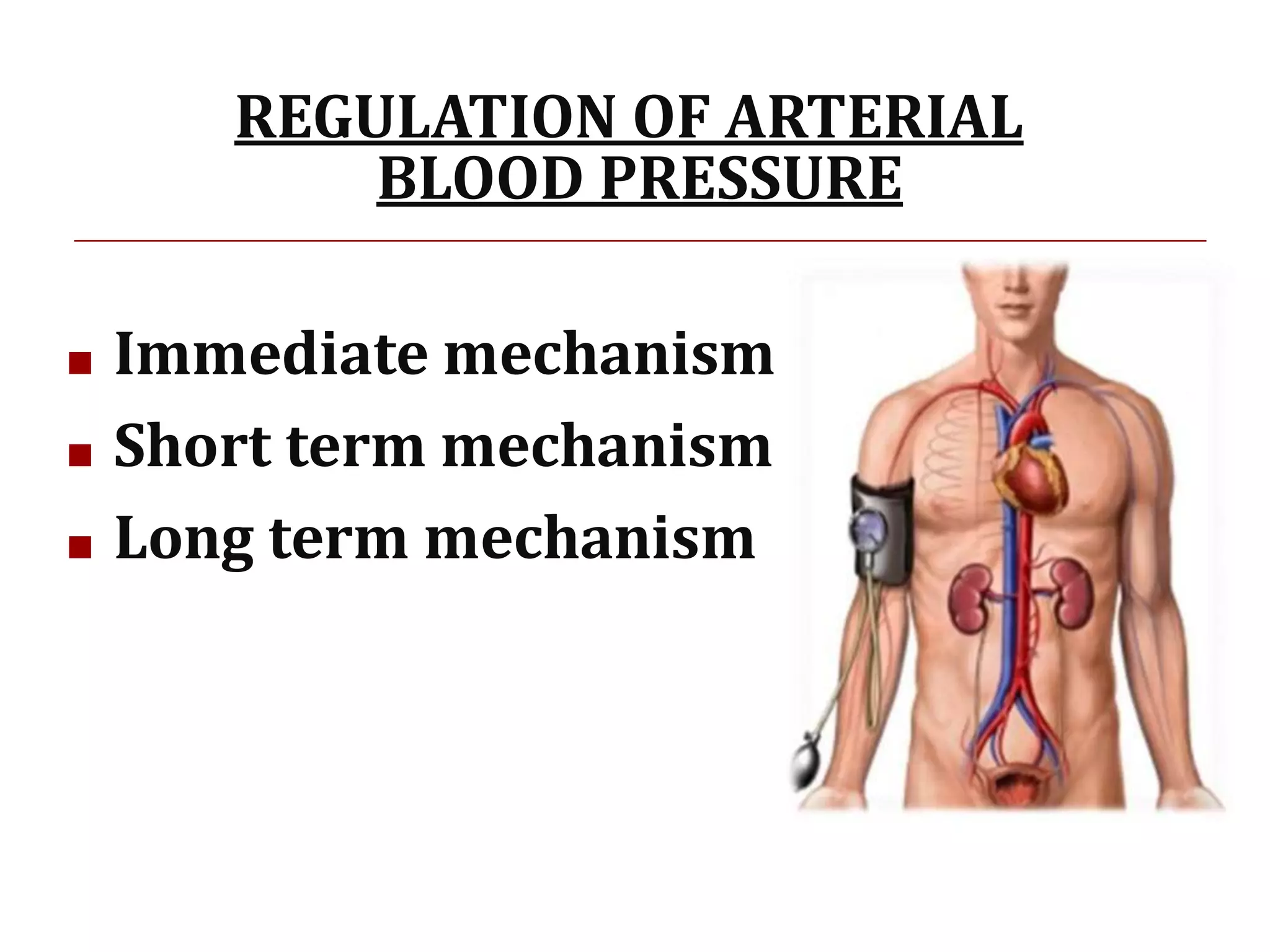 REGULATION OF BLOOD PRESSURE -2.pptx | Heart and Cardiovascular ...
