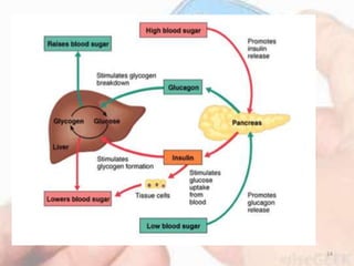 Regulation of blood sugar | PPTX