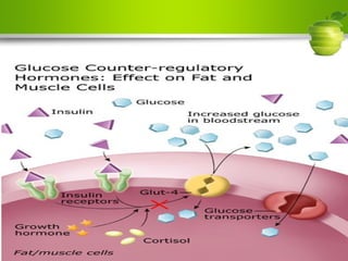 Regulation of body glucose | PPT