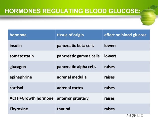 Regulation Of Body Glucose regulation-of-body-glucose
