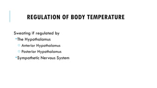 Comprehensive Overview of Human Body Temperature Regulation Mechanisms ...