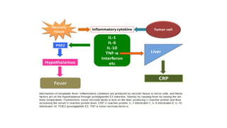 Comprehensive Overview of Human Body Temperature Regulation Mechanisms ...