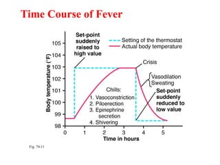 REGULATION OF THE BODY TEMPERATURE NEW.pptx
