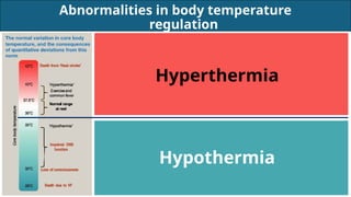 Regulation of Body Temperature (Thermoregulation) | PPTX