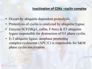 Regulation of cell cycle | PPTX