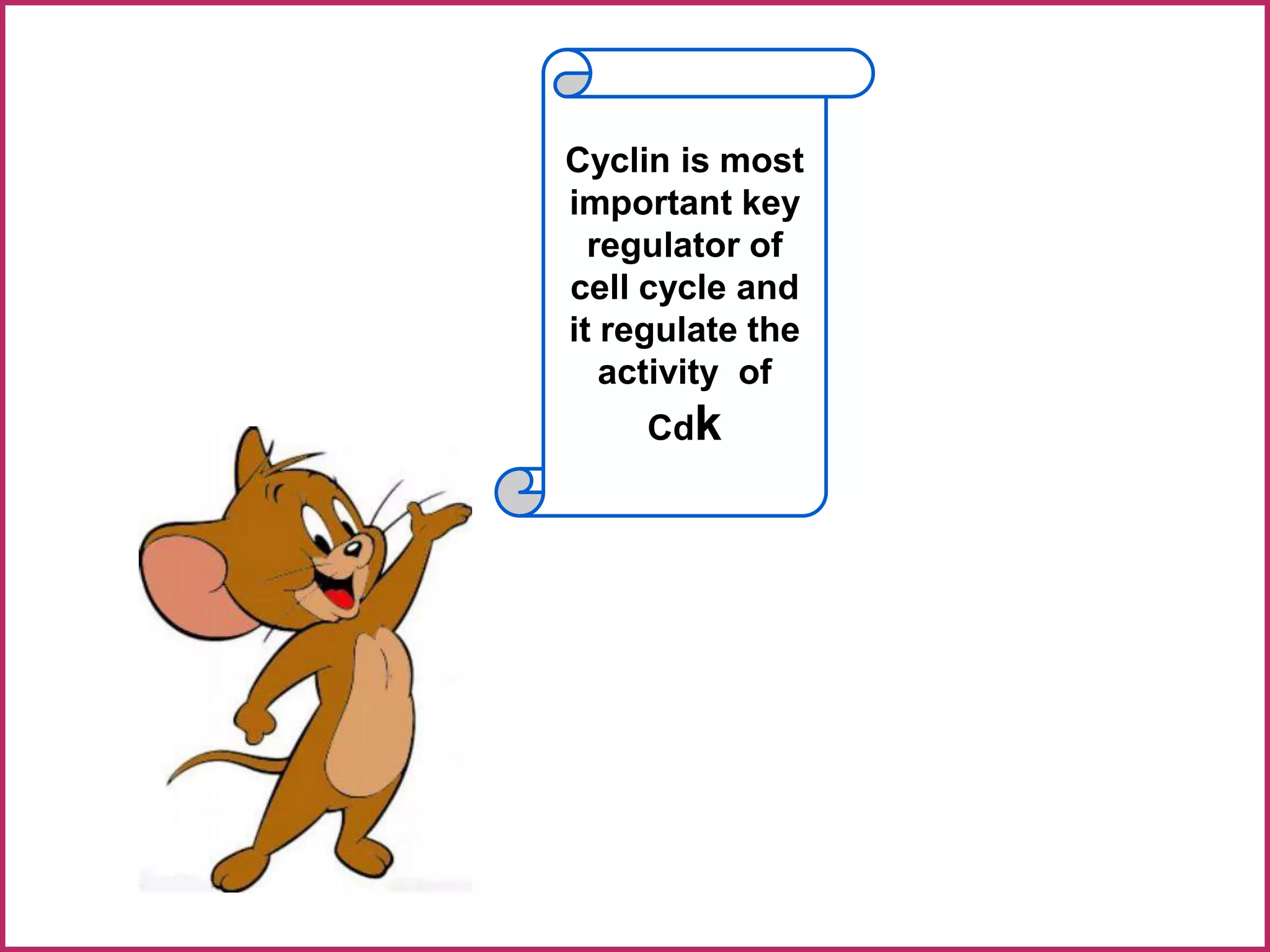 Cyclin is most
important key
regulator of
cell cycle and
it regulate the
activity of
Cdk
 