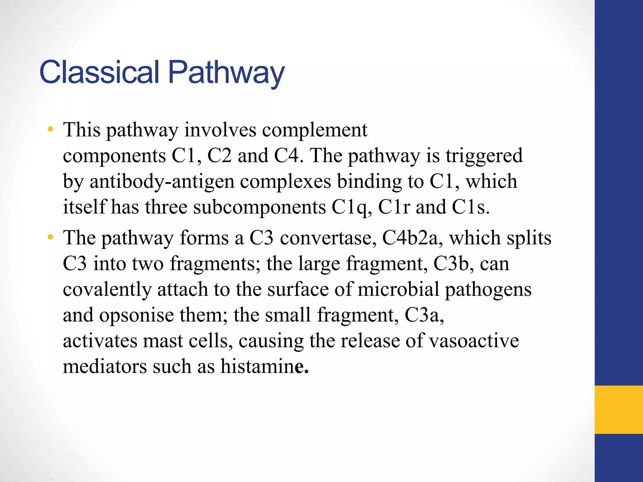 Classical Pathway
• This pathway involves complement
components C1, C2 and C4. The pathway is triggered
by antibody-antigen complexes binding to C1, which
itself has three subcomponents C1q, C1r and C1s.
• The pathway forms a C3 convertase, C4b2a, which splits
C3 into two fragments; the large fragment, C3b, can
covalently attach to the surface of microbial pathogens
and opsonise them; the small fragment, C3a,
activates mast cells, causing the release of vasoactive
mediators such as histamine.
 