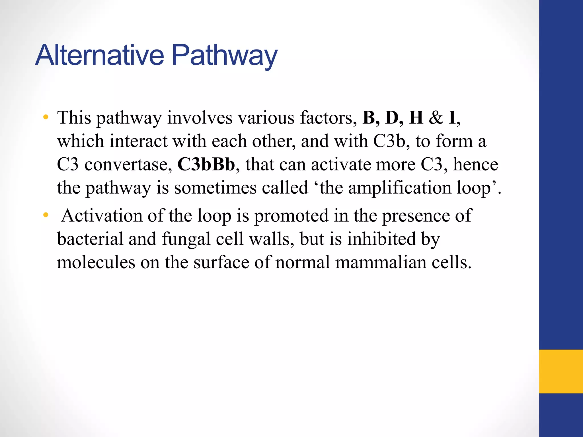Alternative Pathway
• This pathway involves various factors, B, D, H & I,
which interact with each other, and with C3b, to form a
C3 convertase, C3bBb, that can activate more C3, hence
the pathway is sometimes called ‘the amplification loop’.
• Activation of the loop is promoted in the presence of
bacterial and fungal cell walls, but is inhibited by
molecules on the surface of normal mammalian cells.
 