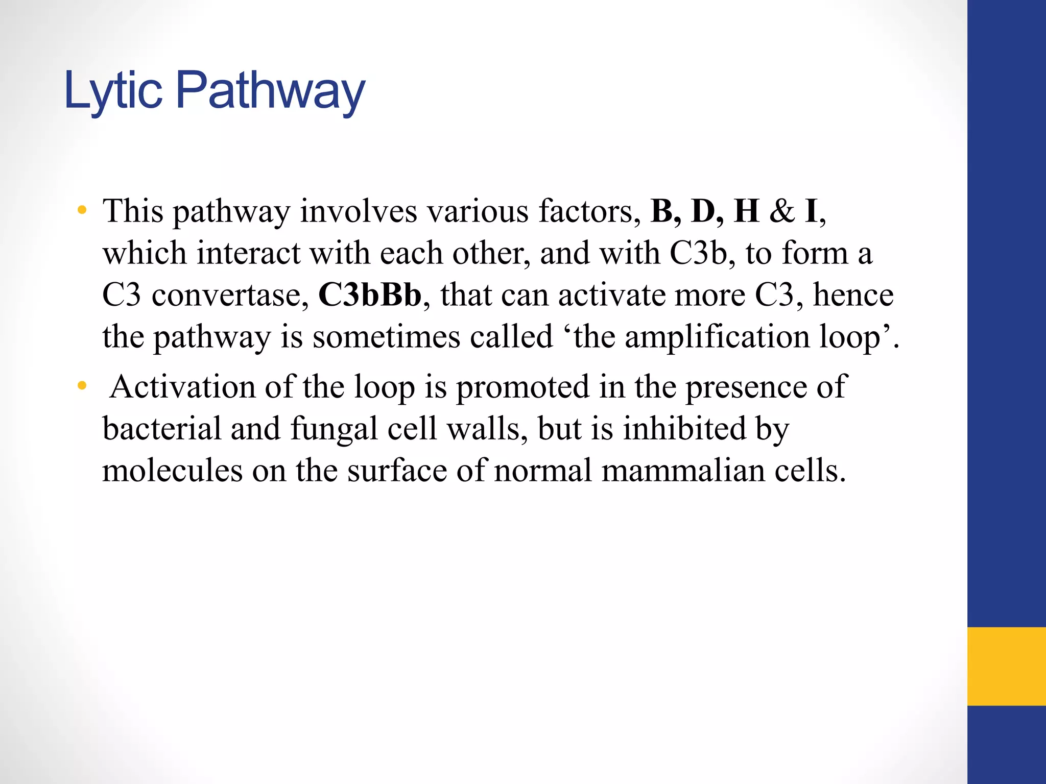 Lytic Pathway
• This pathway involves various factors, B, D, H & I,
which interact with each other, and with C3b, to form a
C3 convertase, C3bBb, that can activate more C3, hence
the pathway is sometimes called ‘the amplification loop’.
• Activation of the loop is promoted in the presence of
bacterial and fungal cell walls, but is inhibited by
molecules on the surface of normal mammalian cells.
 