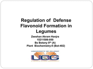 Regulation of Defense
Flavonoid Formation in
Legumes
Zeeshan Akram Hanjra
15211506-050
Bs Botany 8th (A)
Plant Biochemistry-II (Bot-402)
 