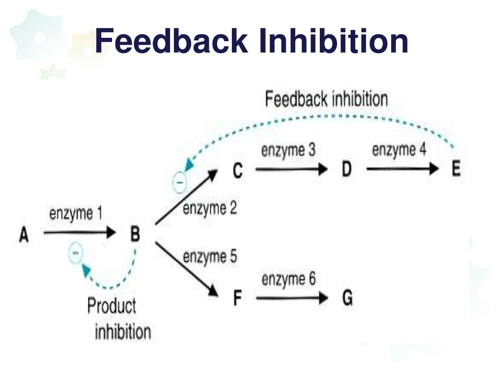 Regulation of enzyme activity