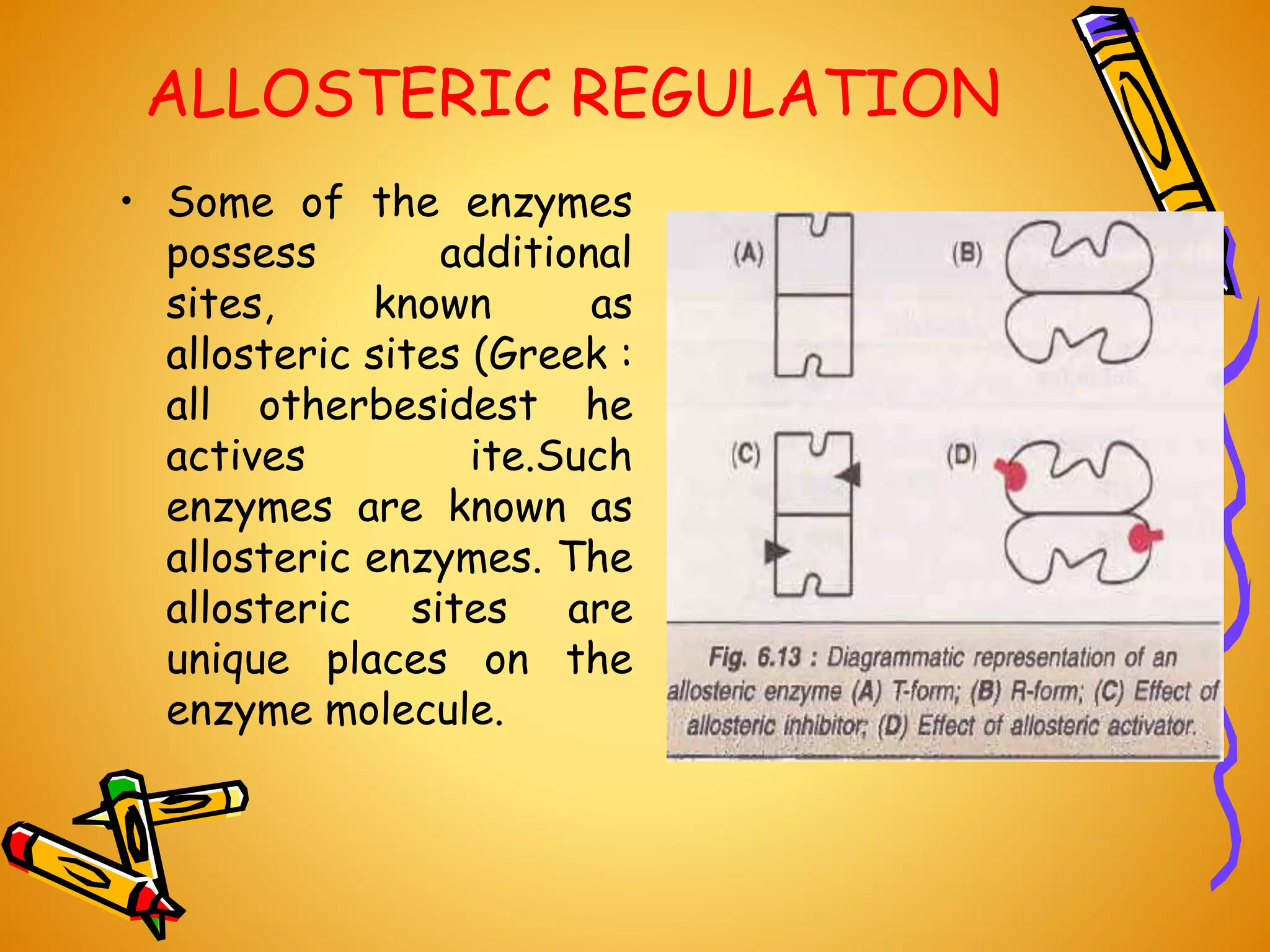 Regulation of enzyme action | PPTX