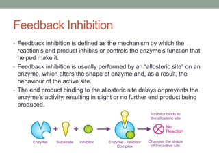 Regulation of Enzymes.pptx