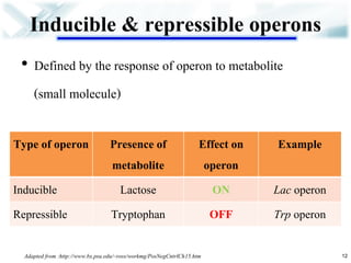 Inducible & repressible operons 
•Defined by the response of operon to metabolite 
(small molecule) 
Adapted from :http://www.bx.psu.edu/~ross/workmg/PosNegCntrlCh15.htm 
12 
Type of operon 
Presence of metabolite 
Effect on operon 
Example 
Inducible 
Lactose 
ON 
Lac operon 
Repressible 
Tryptophan 
OFF 
Trp operon  