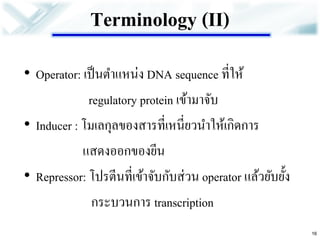 Terminology (II) 
•Operator: เป็นตาแหน่ง DNA sequence ที่ให้ 
regulatory protein เข้ามาจับ •Inducer : โมเลกุลของสารที่เหนี่ยวนาให้เกิดการ 
แสดงออกของยีน •Repressor: โปรตีนที่เข้าจับกับส่วน operator แล้วยับยั้ง 
กระบวนการ transcription 
16  